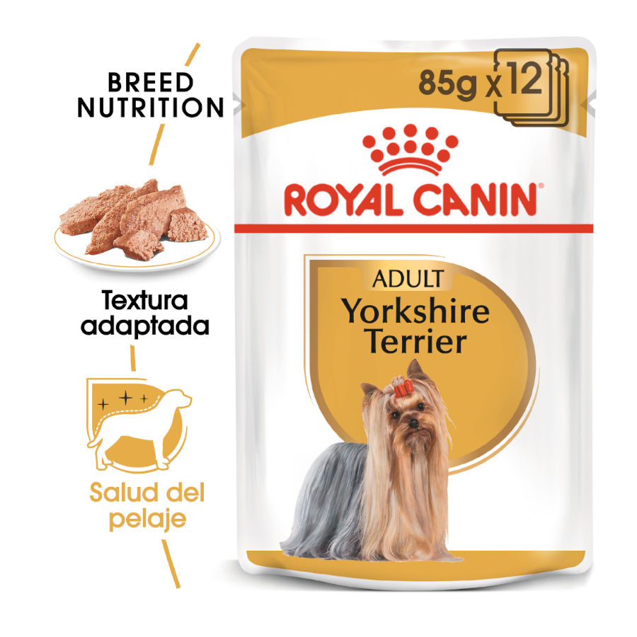 12 saquetas x 85 g Royal Canin Yorkshire Terrier saquetas para cães Pack poupança!