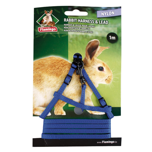 Flamingo petral com correia para coelhos