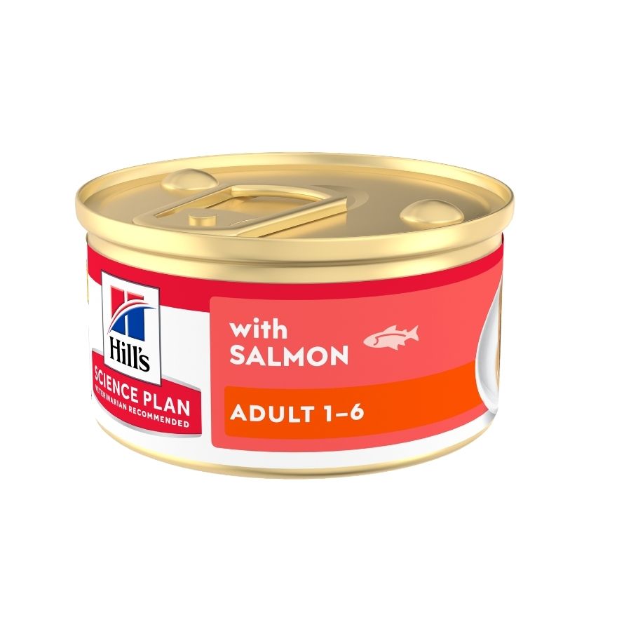 12 latas x 85 g Hill's Science Plan Adult Comida húmida Mousse de Salmão para gatos Pack poupança!