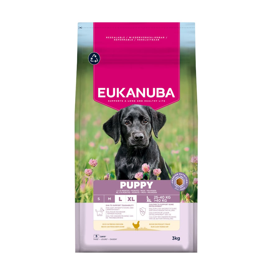 3 KG 3 kg Eukanuba Puppy Large Breed Frango raçao para cães