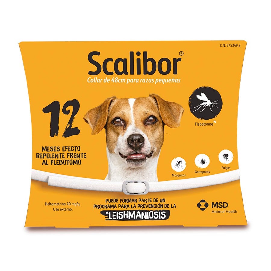 1 coleira x 65 cm Scalibor Coleira Antiparasitária para cães