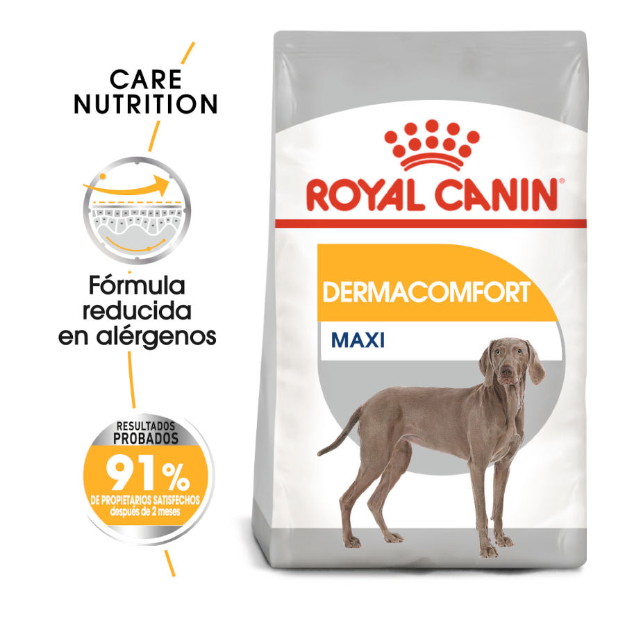 2 x 12 kg Royal Canin Maxi Dermacomfort ração para cães Pack poupança!