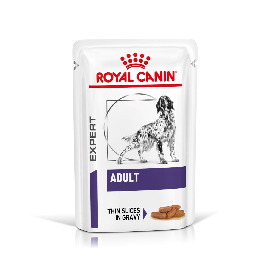 0.1 KG 12 saquetas x 85 g Royal Canin Expert Adult Láminas em molho sobre para cães
