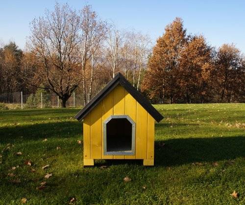 caseta alpine amarilla yellow dog house perro technical pet