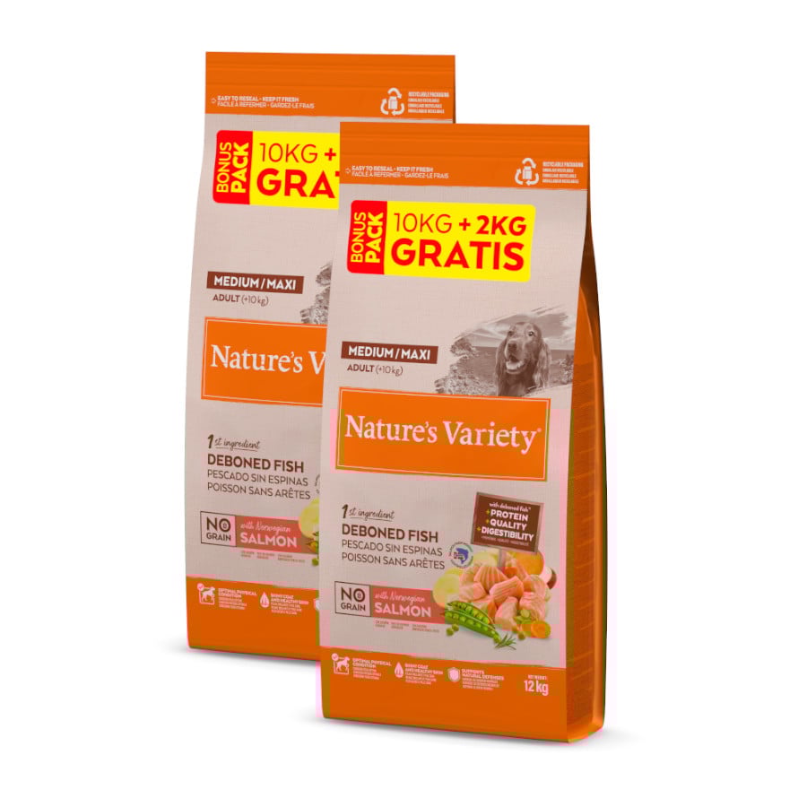 2 x 12 kg (10 + 2 kg grátis!) Nature's Variety No Grain Adult Medium Maxi Salmão ração para cães Pack poupança!