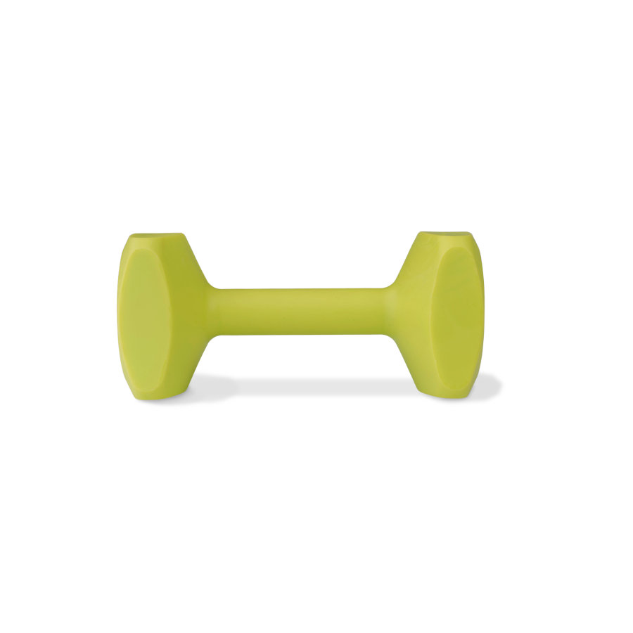 Coachi Halter de brinquedo limão médio para cães