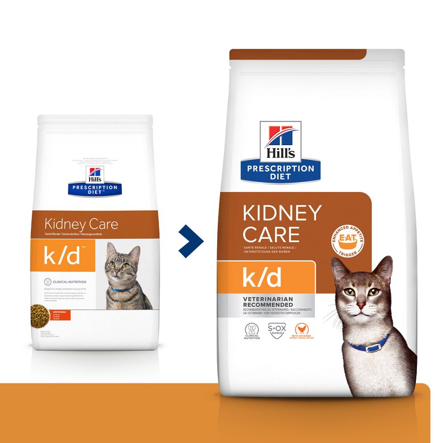 Hill's Prescription Diet Kidney Care Frango ração para gatos, , large image number null