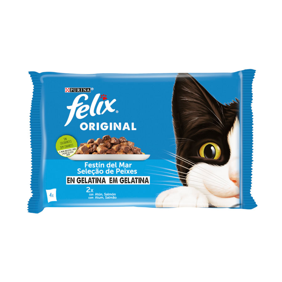 Felix Seleccion Peixes Saquetas Em Geleia Para Gatos Multipack