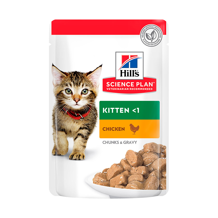 24 saquetas x 85 g Hill's Science Plan Kitten Frango saqueta em molho Pack poupança!
