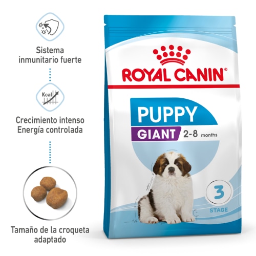 1 KG Royal Canin Puppy Giant ração para cães