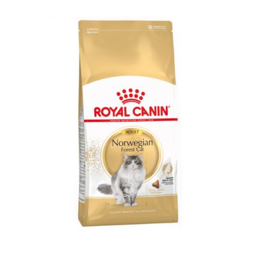 10 kg Royal Canin Adult Bosques da Noruega Ração para gatos