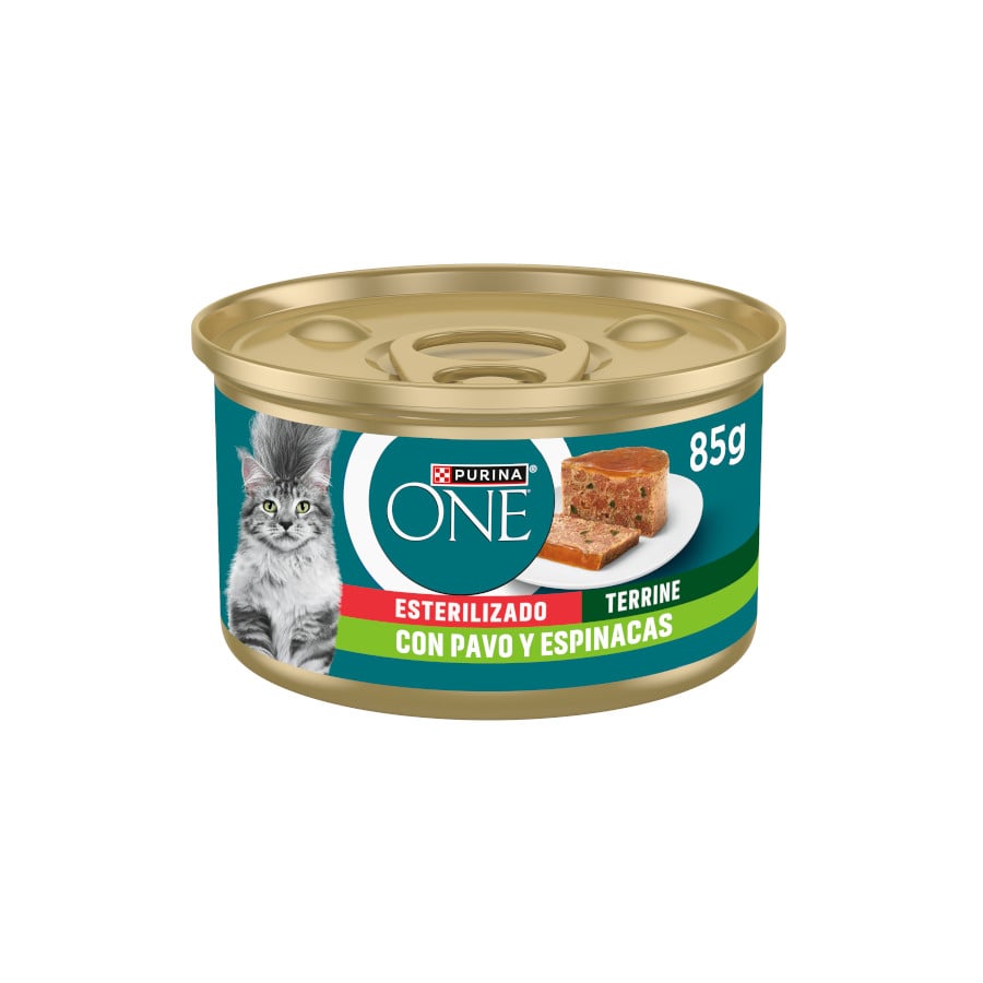 85 g Purina ONE Terrine de peru e espinafre esterilizado para gatos