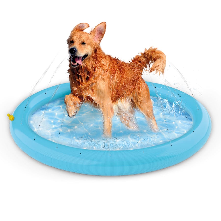 Summer Vibes Piscina com jatos para cães