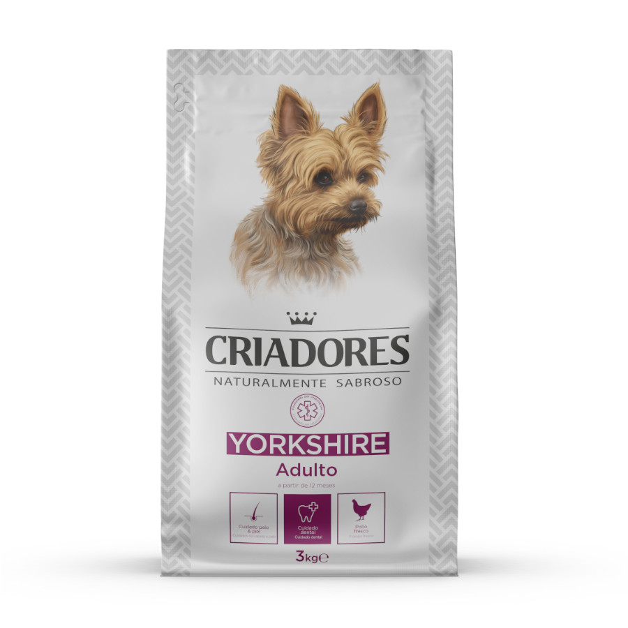 Criadores Yorkshire Terrier Frango ração para cães