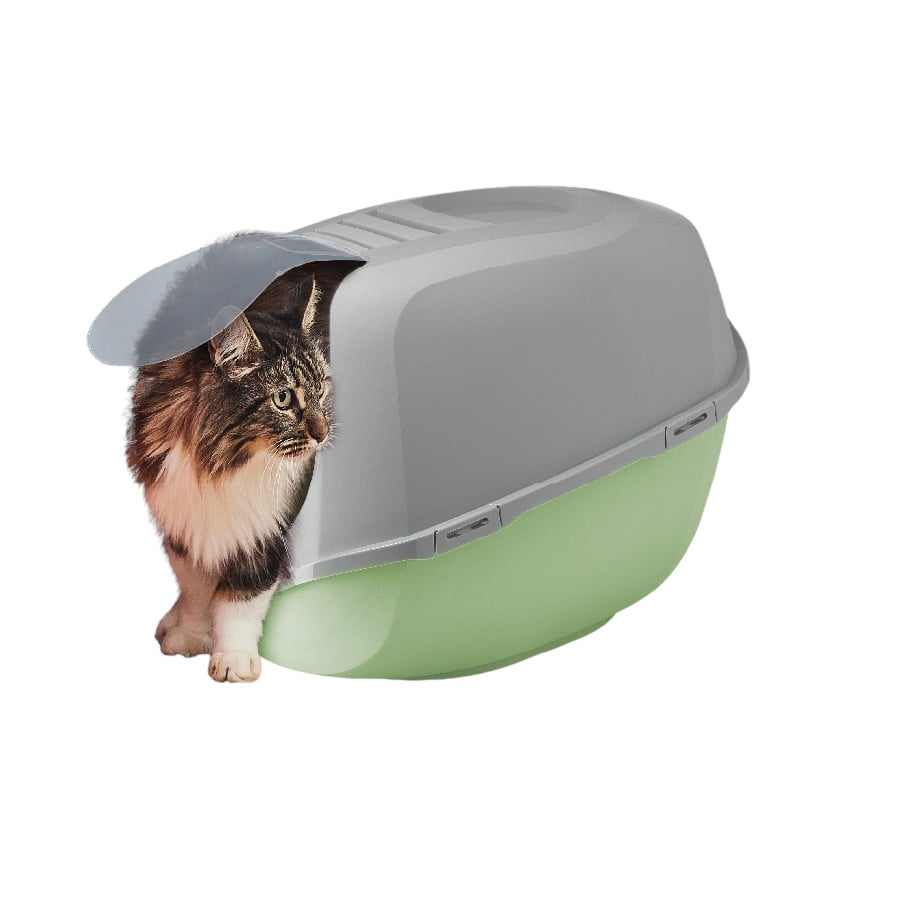 Nice Care Eco Caixa de areia Smart verde para gatos