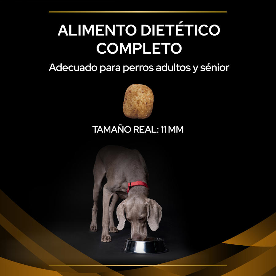 Pro Plan Veterinary Diets Renal ração para cães, , large image number null