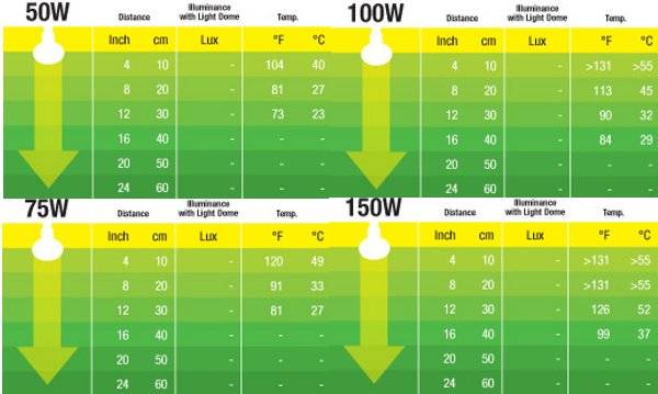 Exo Terra LÃ¢mpada Infra-vermelha Infrared Basking Spot