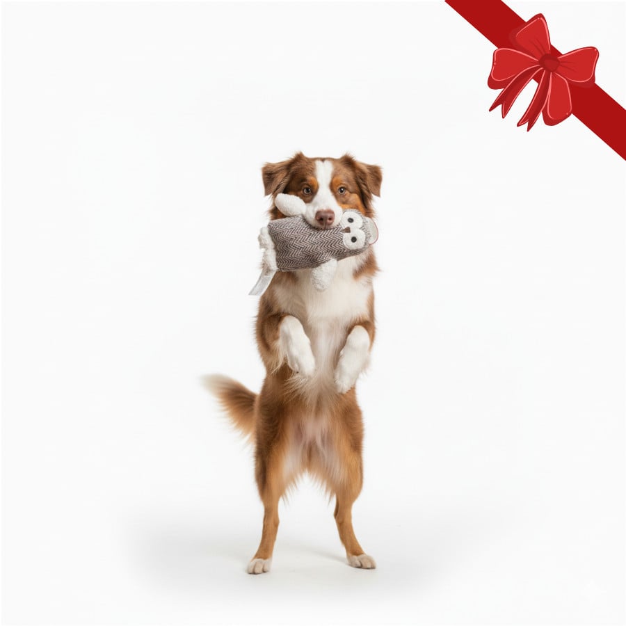 Wonder Christmas Peluche Coruja de Natal para Cães