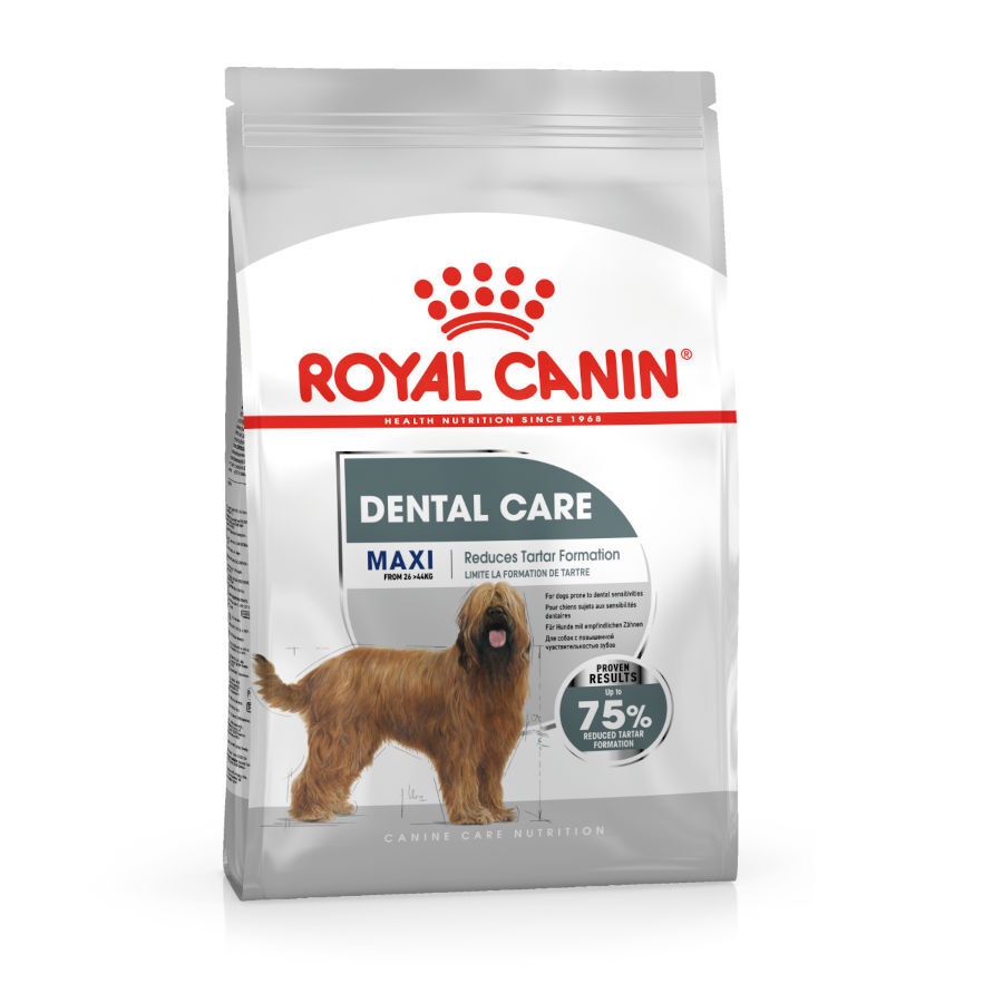 Royal Canin Maxi Dental Care ração para cães