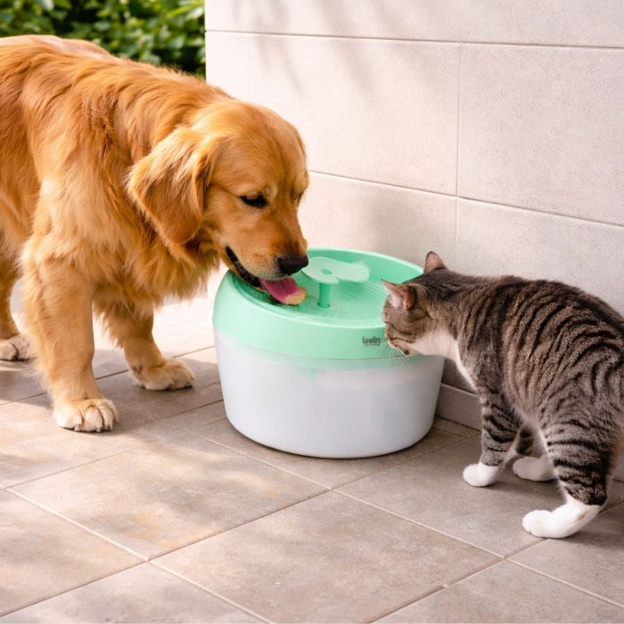 Leeby Fonte de Água Verde para cães e gatos