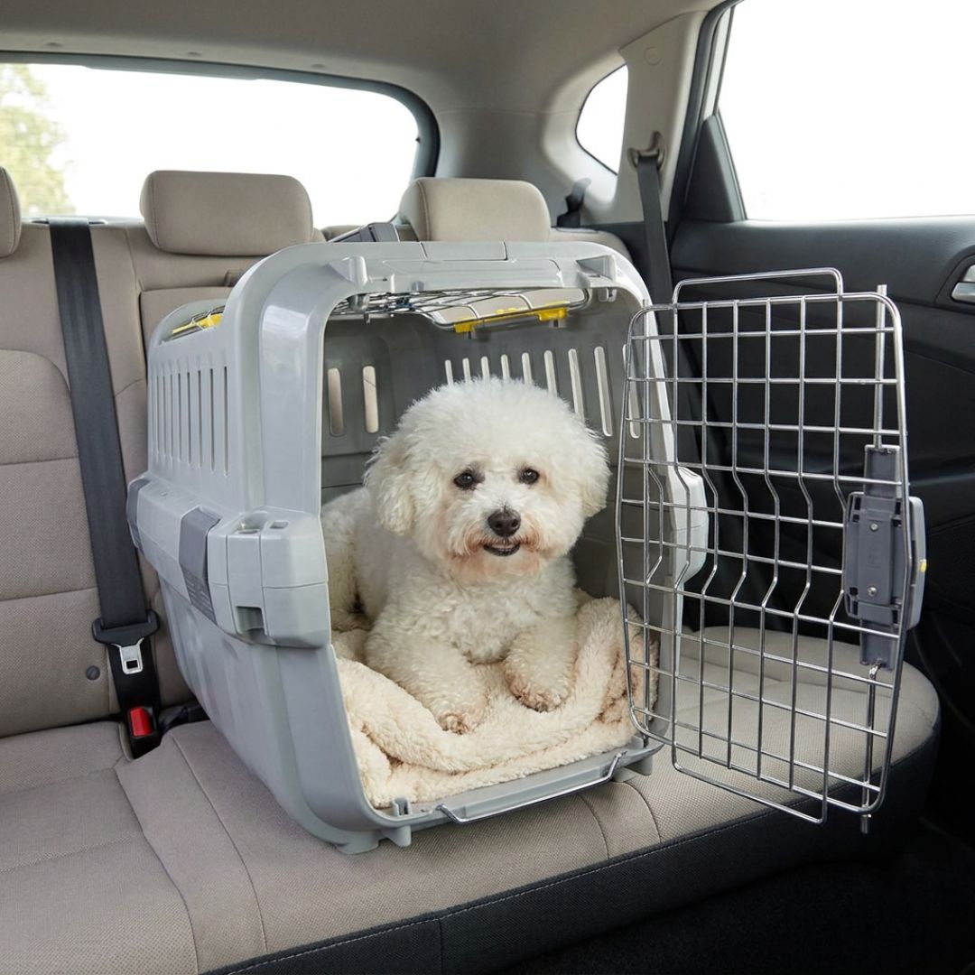 Moderna Odyssey Transportadora com Entrada Dupla para cães e gatos