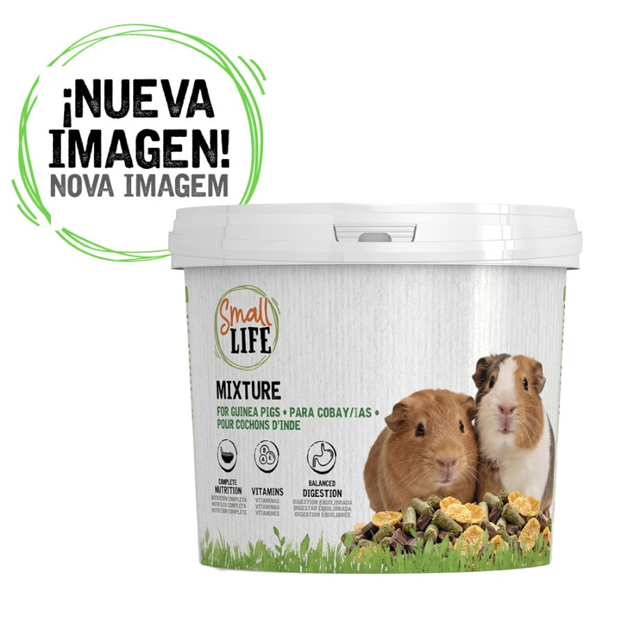3.3 kg Small Life Mixtura Cubos para Porquinhos da Índia