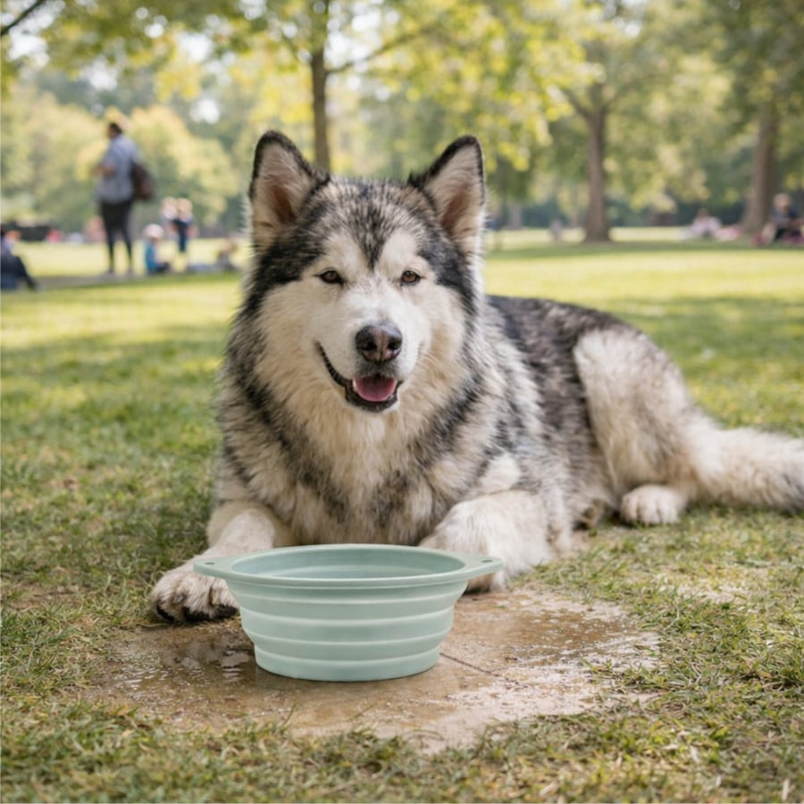 Gotoo Bebedouro Dobrável e Portátil em Silicone para cães e gatos