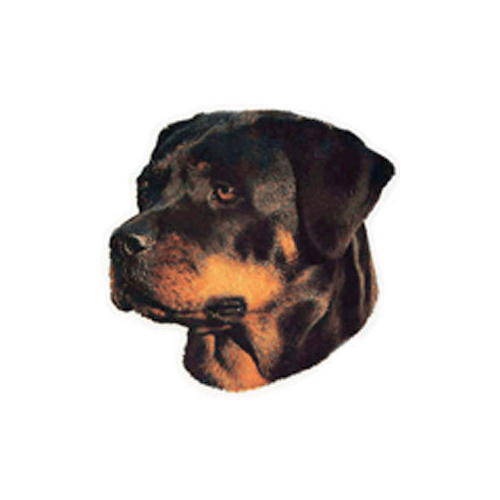 Eukanuba pensar Rottweiler especial