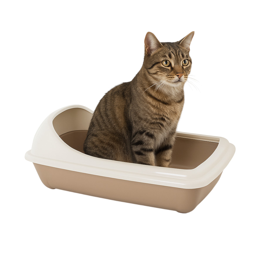 Nice Care Caixa de areia Birba bege com borda para gatos
