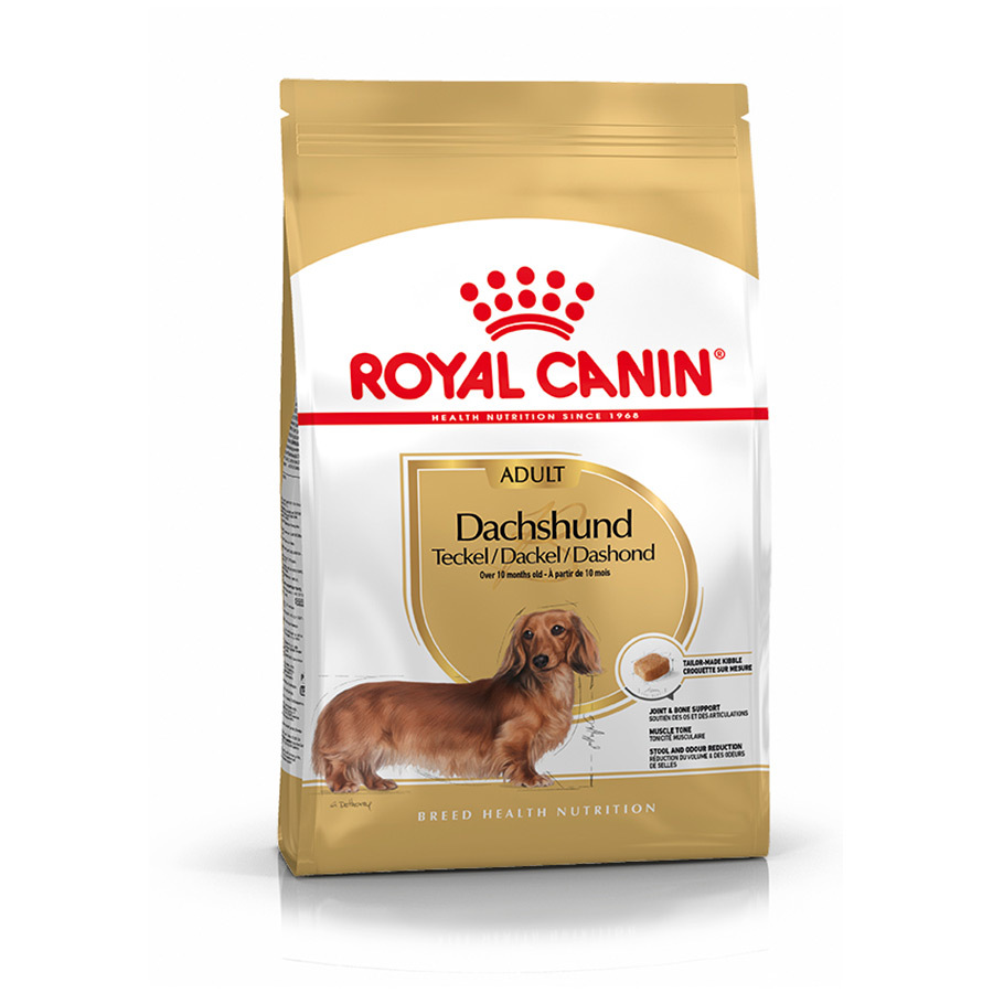 Royal Canin Adult Dachshund ração para cães
