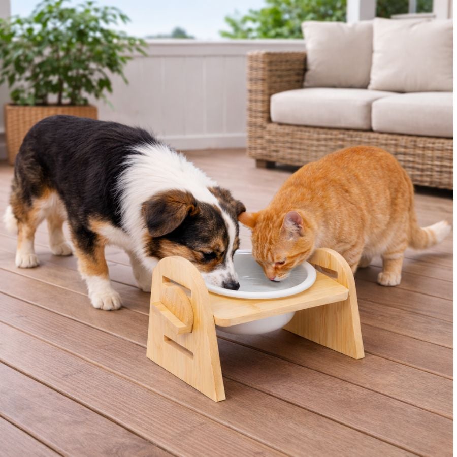 Leeby Comedouro Elevado de Madeira e Cerâmica para cães e gatos