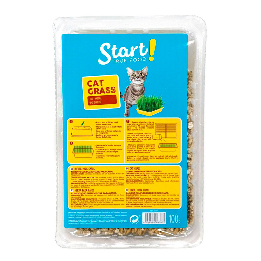 Start Catnip