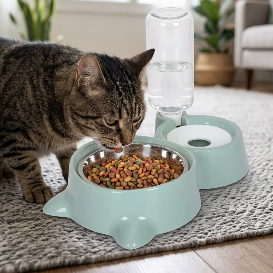 Leeby Comedouro e Dispensador de Água 2 em 1 em Aço Inoxidável Verde para gatos