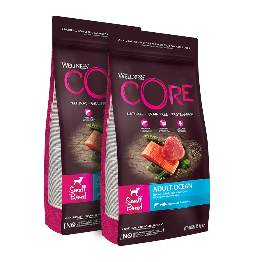 2 x 1.5 kg Wellness Core Adult Small Ocean Salmão e Atum ração para cães Pack poupança!