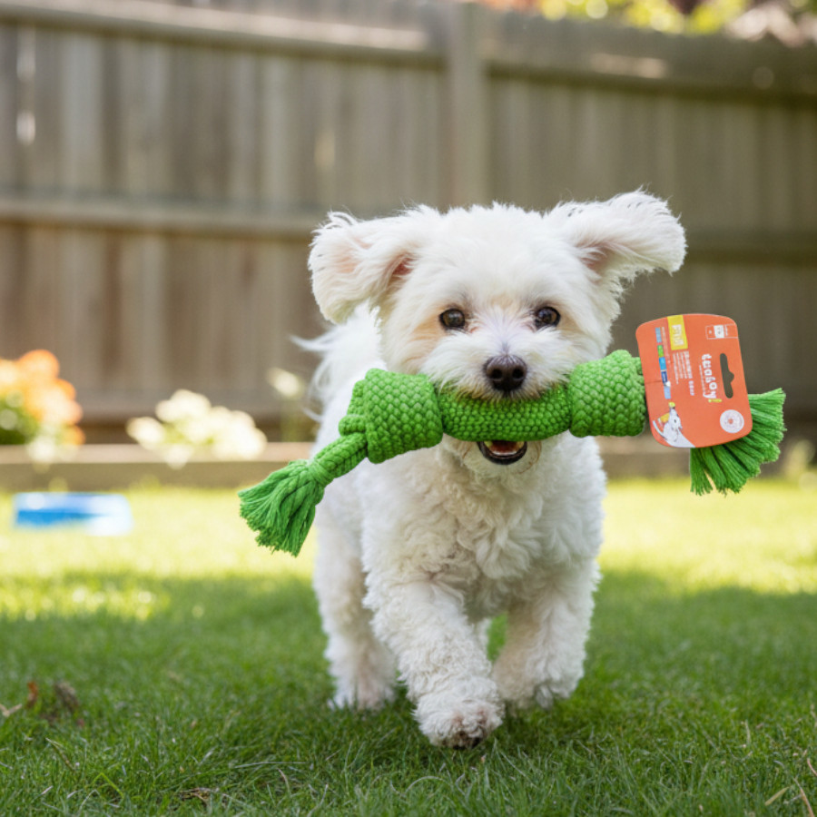 Tootoy! Pull Mordedor corda com apito tamanho médio para cães