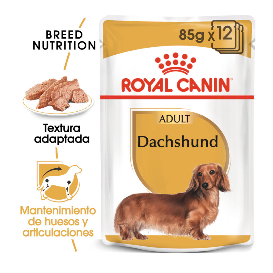 24 saquetas x 85 g Royal Canin Saquetas de Patê para Teckel Pack poupança!