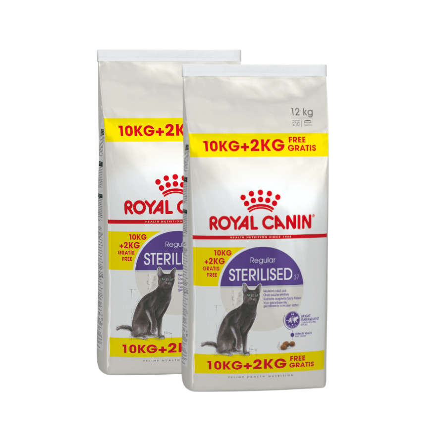 2 x 12 kg (10 + 2 kg ¡grátis!) Royal Canin Regular Sterilised 37 ração para gatos Pack poupança!