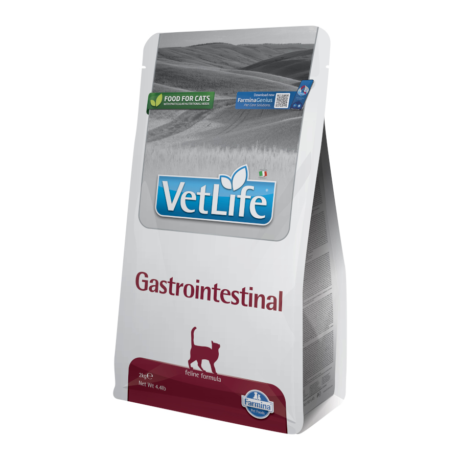 2 KG 2 kg Farmina Vet Life Alimento gastrointestinal para gatos