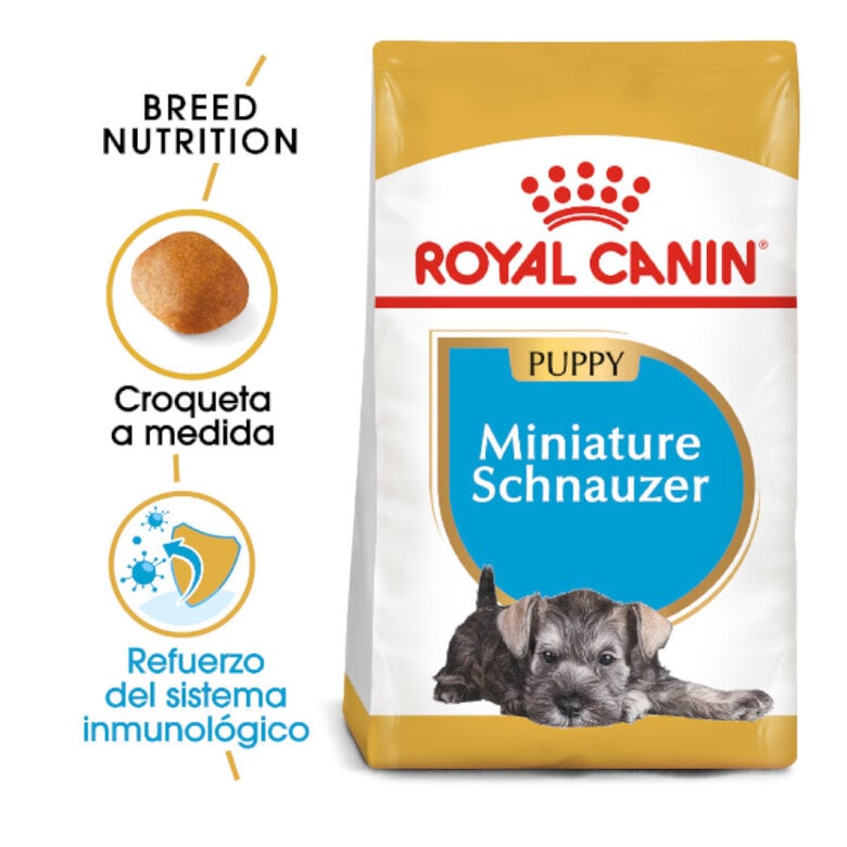 1.5 KG Royal Canin Puppy Miniature Schnauzer ração para cães