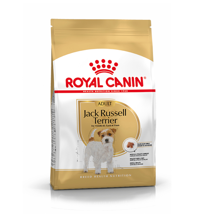 Royal Canin Adult Jack Russell Terrier ração para cães