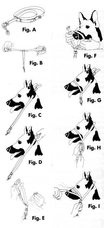 Coleira de cachorro do lÃ­der gentil gerenciamento antitirones