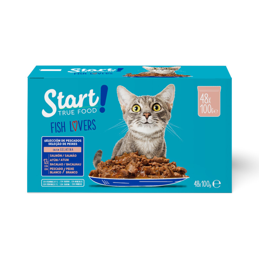 4.8 KG Start Cat Peixe saqueta com gelatina para gatos - Multipack