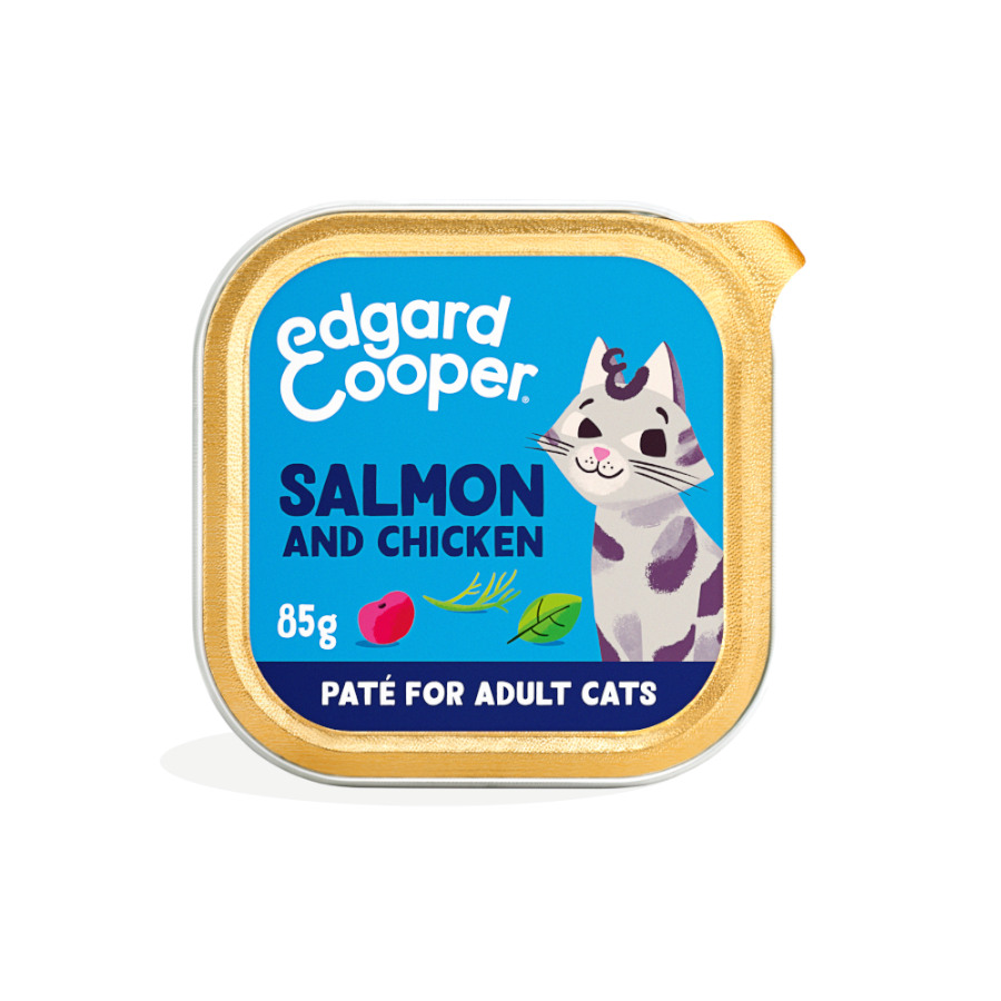 48 terrinas x 85 g Edgard Cooper Adult Salmão e Frango em Patê terrina para gatos Pack poupança!