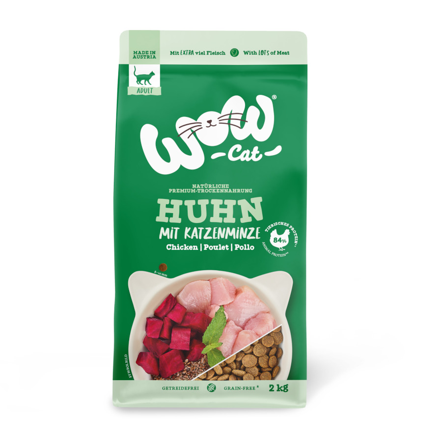2 KG Wow, comida de frango adulto para gatos