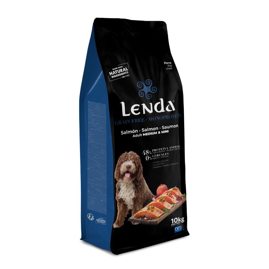 10 KG 10 kg Lenda Grain Free Ração de Salmão para cães