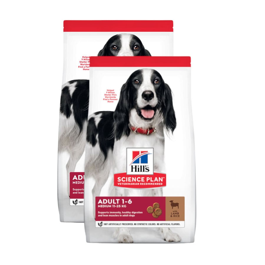 2 x 18 kg Hill's Science Plan Adult Medium Cordeiro e Arroz ração para cães Pack poupança!