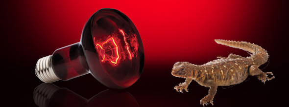 Exo Terra LÃ¡mpara Infrarroja Infrared Basking Spot