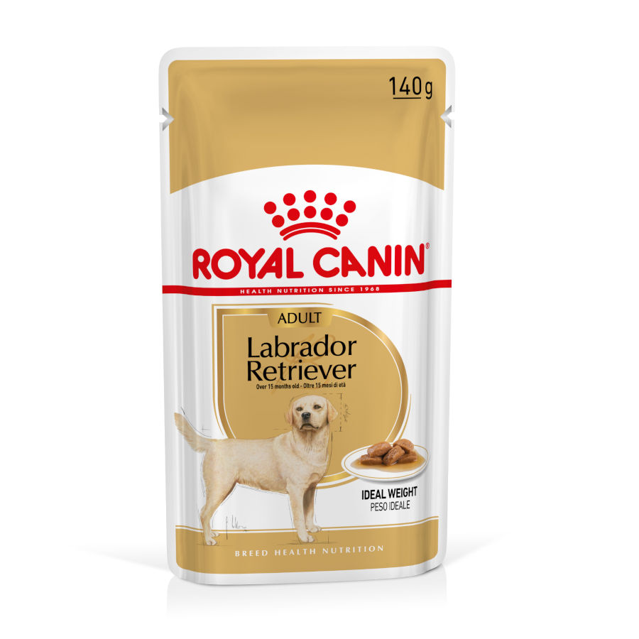 12 saquetas x 140 g Saquetas Royal Canin Labrador 140g Pack poupança!