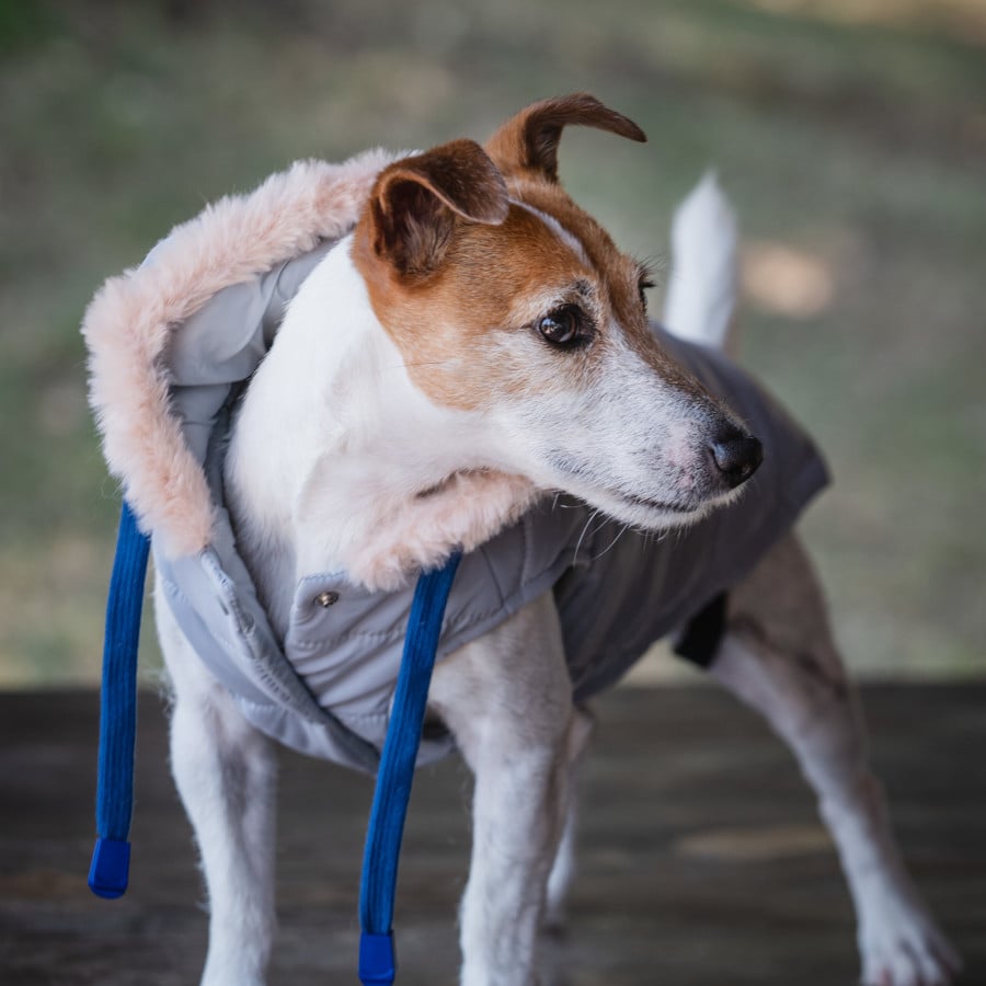 Freedog Iceguard Capa de Chuva Cinzenta para cães