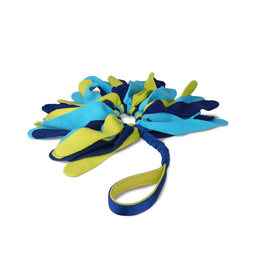 Coachi Tuggi Spider brinquedo para cães